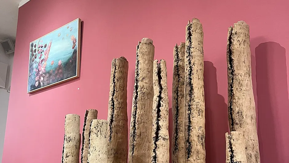 Seaweed inspires artist’s exhibition Image