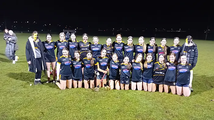 Brilliant St Brogans win Crowley Cup final Image