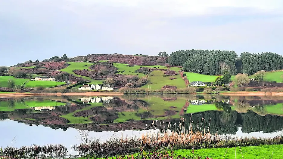 Reader's Picture of the Week Image