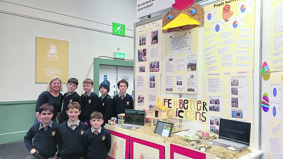 Pure poultry: Pupils’ chicken project lauded Image