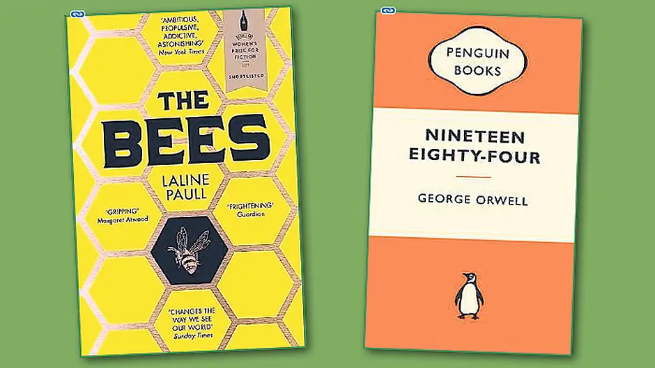 THE BOOKSHELF: Fiction free from reality Image
