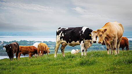 70% of farmers do not budget, but most positive for the future Image