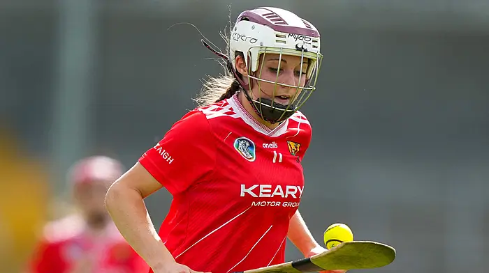 Carbery players making their mark with Cork camogie Image