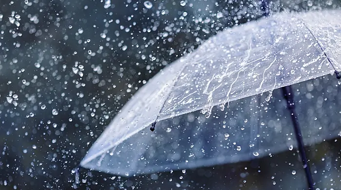 Weather Alert: Status Yellow rain warning issued for Cork Image