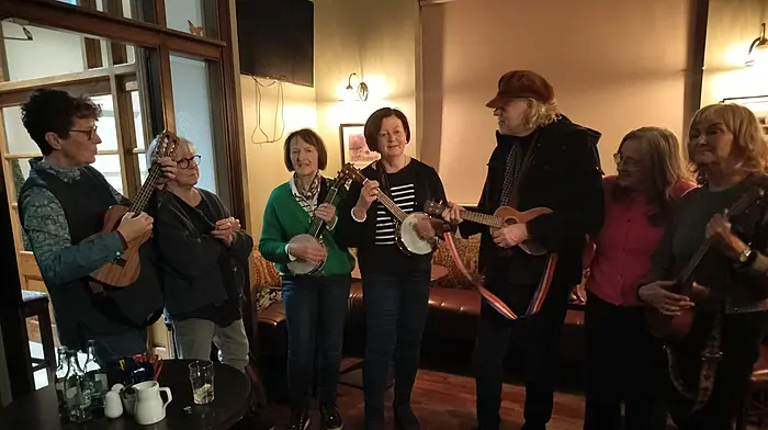 Bob Geldof pulls a few strings to join ukelele session in Skibbereen Image