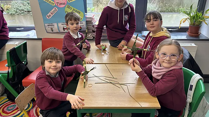 There was great team work going on at Rath National School where the senior pupils all helped out the younger pupils to make St Brigid’s Crosses. From left: Tiernan O’Driscoll, Seán Holland, Maya O’Flynn, Emma Cottrell and Sadie Lavelle Martin.
