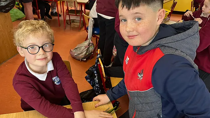 Liam O’Neill, fifth class, helping Luan O’Donnell, 1st class, to make his St Brigid’s Cross at Rath National School.
