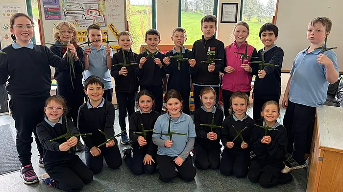 The middle room at Reenascreena National School with their St Brigid Crosses.