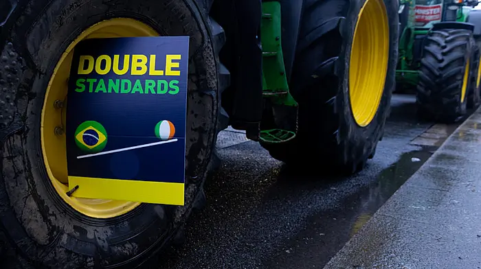 IFA protests at Bord Bia continue as minister makes ‘witch hunt’ claims Image