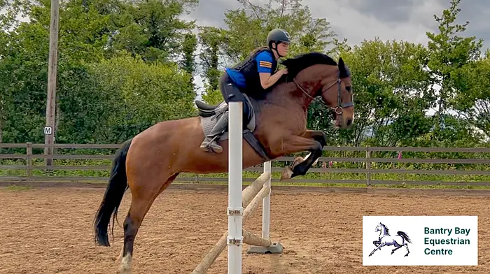 Bantry Bay Equestrian: Experience the Magic of West Cork on Horseback Image