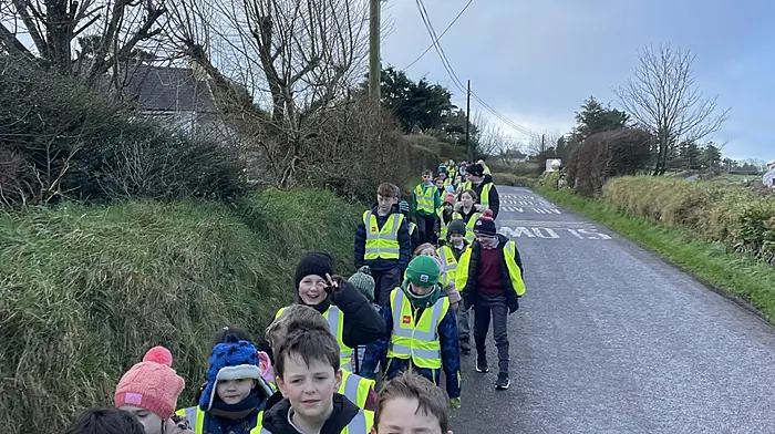 Pupils from Lisheen National School walked to school last Friday as part of the Big Travel Challenge run by the Green Schools Programme to encourage sustainable travel to school.