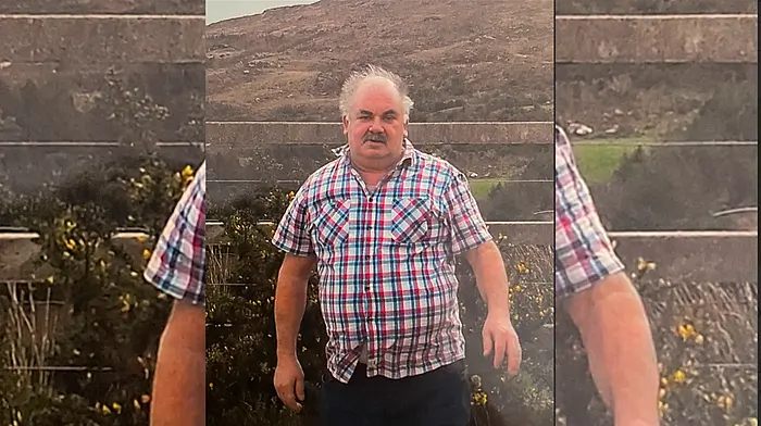Man admits manslaughter of Adrigole pensioner Image