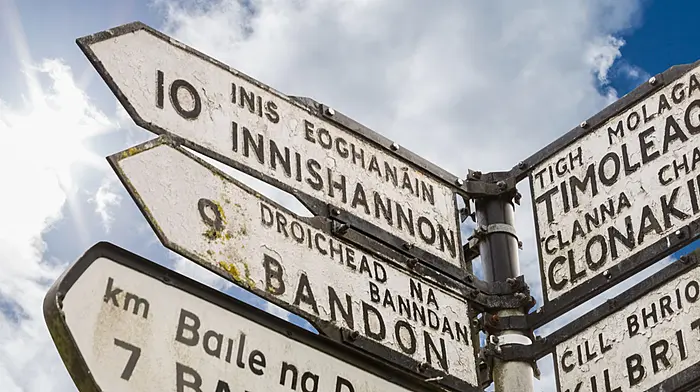 Bypass hopes for Innishannon Image