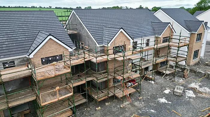 Plans for 24 new Dunmanway homes Image