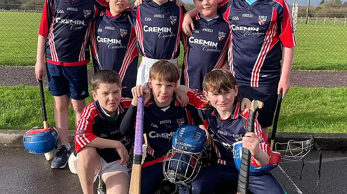 The third class hurling team from Carrigboy National School which took part in a recent blitz in Ballinacarriga. Back: Jack Draper,  Aaron Evans,  Stephen O'Keefe,  Kristian Levis Alford and Eoghan Ward. Front: Alex Coughlan, Oisín McNulty and Peadar Williamson.