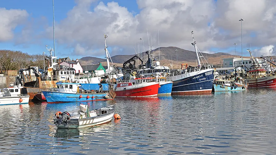 Public meeting for fish sector in Castletownbere Image