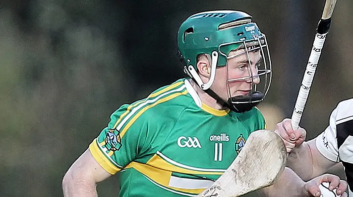 Sean Daly makes hurling switch to St Finbarr’s Image