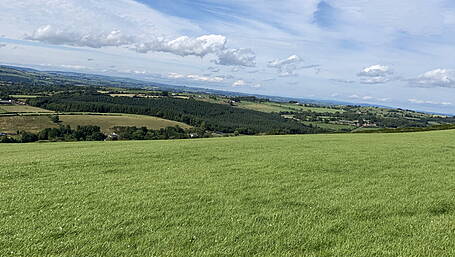 Spring grass workshop in Coachford Image