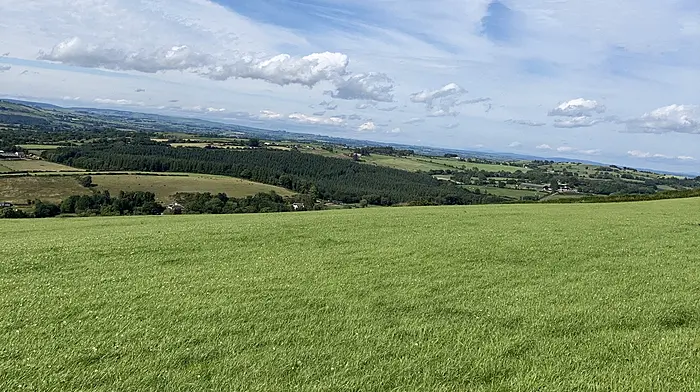 Spring grass workshop in Coachford Image