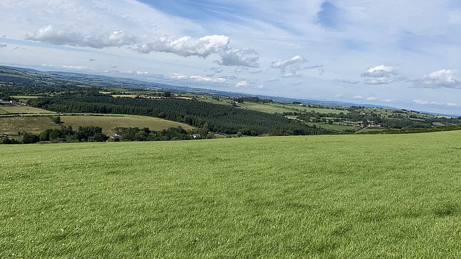 Spring grass workshop in Coachford Image