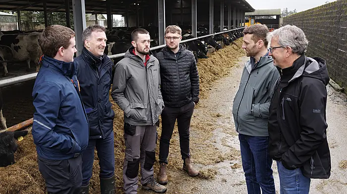 Carbery farms install methane-reducing tech Image