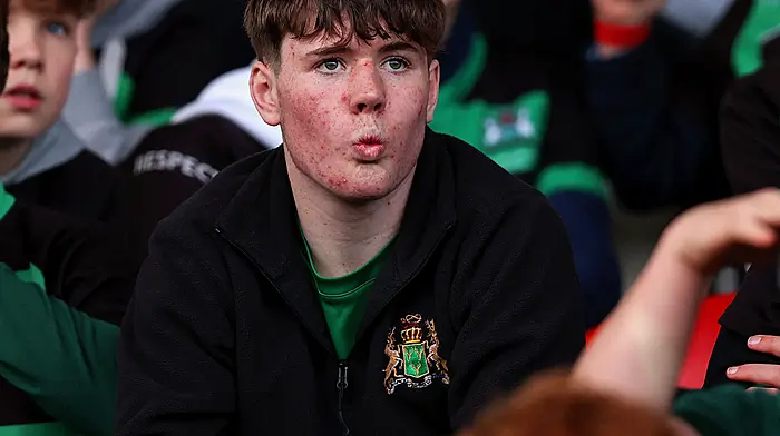 Bandon Grammar fans during the Pinergy Munster Schools Junior Cup Quarter-Final at Virgin Media Park. (Photo: INPHO/Tom O’Hanlon)
