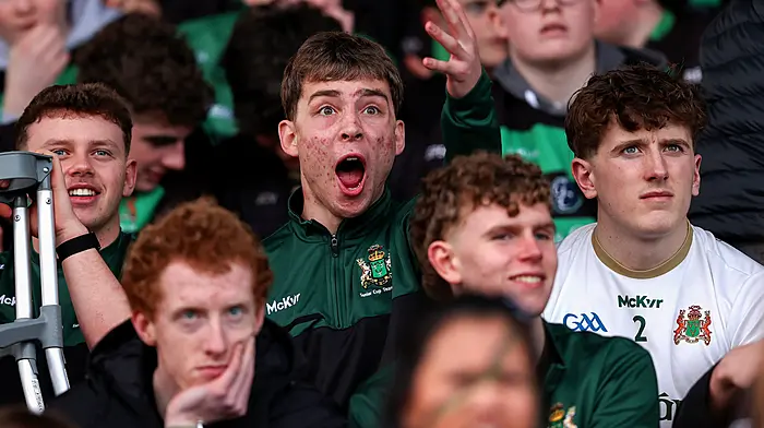 Bandon Grammar fans during the Pinergy Munster Schools Junior Cup Quarter-Final at Virgin Media Park. (Photo: INPHO/Tom O’Hanlon)