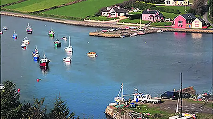 Flood action called for in Ring village Image