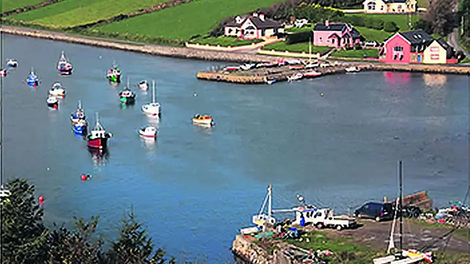Flood action called for in Ring village Image