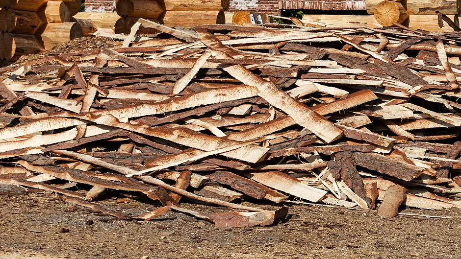 Recycling of timber set to resume ‘soon’ Image