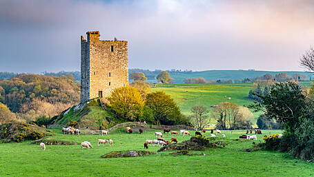 MACROOM'S HAUNTED CASTLE: A ‘really weird’ night in castle that’s haunted Image