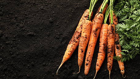 Significant growth in organic vegetable sector Image