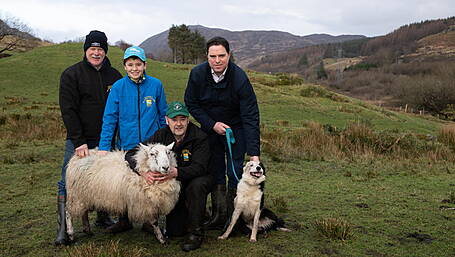 Microchipping the focus in dog control Image