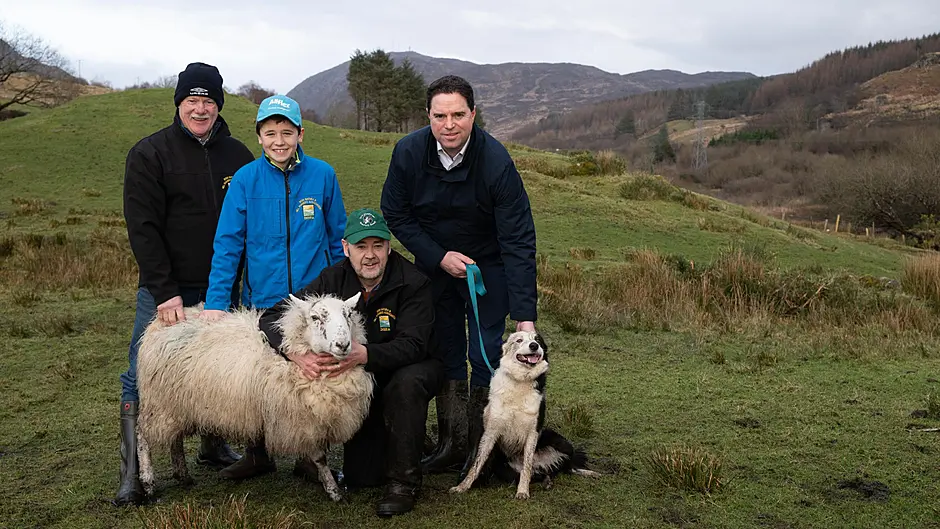 Microchipping the focus in dog control Image
