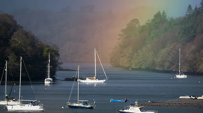 Reader’s Picture of the Week Image