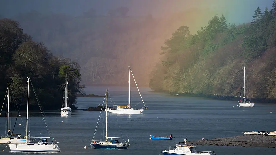 Reader’s Picture of the Week Image