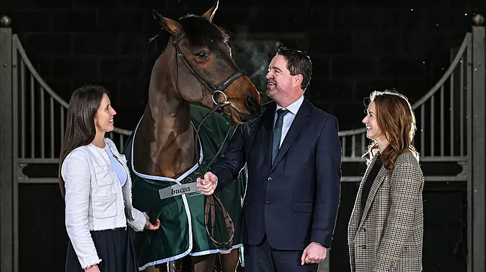 Grants for local shows as part of National Breeding Services scheme Image