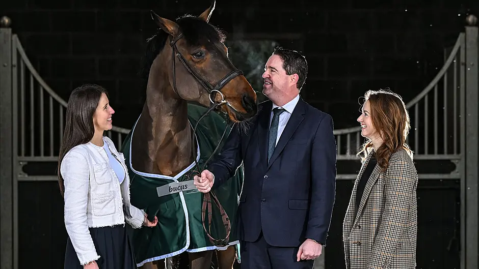 Grants for local shows as part of National Breeding Services scheme Image