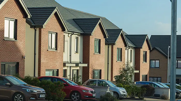319 new tenants via HAP Image