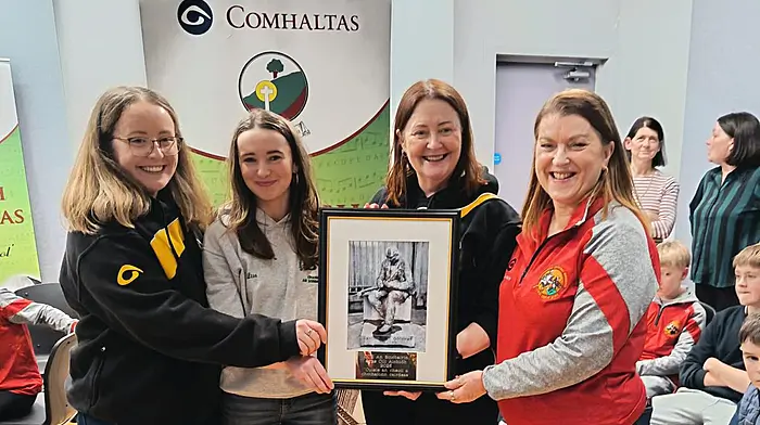 Skibbereen Comhaltas exchange Image