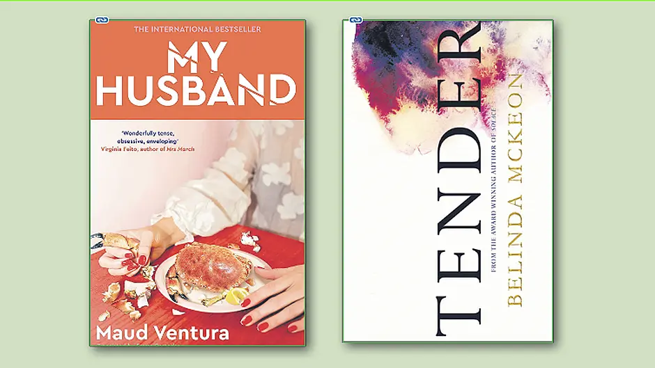 THE BOOKSHELF: There’s no fun in fairytales Image