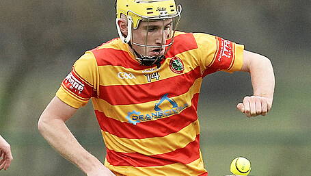 Check out this weekend's county hurling league fixtures Image