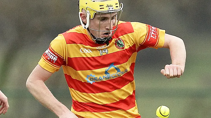 Check out this weekend's county hurling league fixtures Image