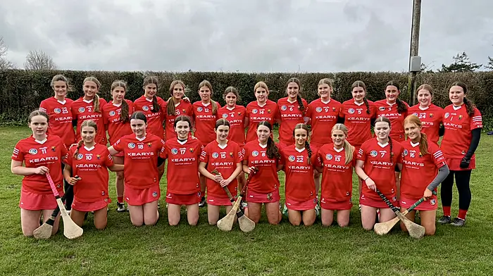 Clonakilty and Enniskeane players help Cork reach Munster U23 semi-finals Image