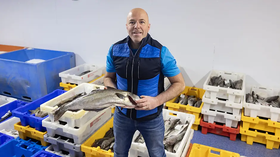 Net your catch of the day on the internet says Joe Image
