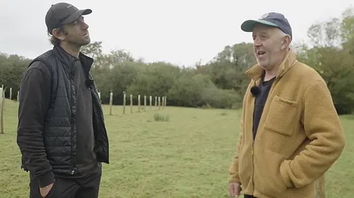 Forestry scheme offers diversity and income Image