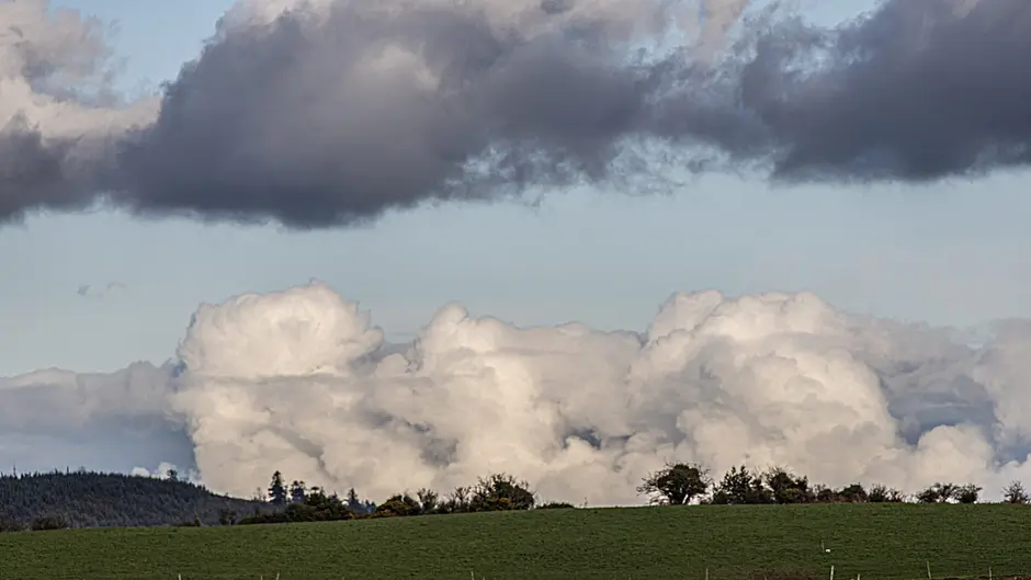 Reader’s Picture of the Week Image