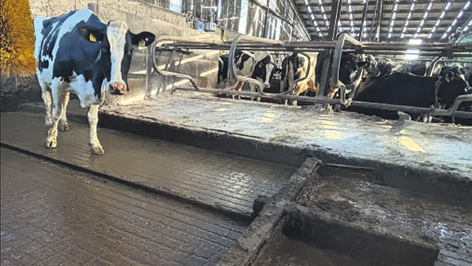 Dairypower: Leading the way with Pro-Clean Ratchet Scraper Image