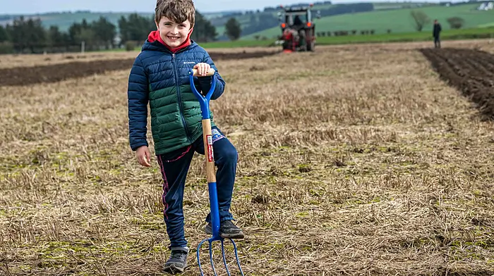 Eoin Harte from Timoleague at Bandon Ploughing Association’s 81st annual ploughing match which was recently held on the lands of Derek Lovell, Knockbrown.  (Photo: Andy Gibson)