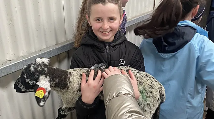 Leah Cooke from Reenascreena National School enjoying meeting a lamb at Darrara College’s open day for primary schools.